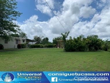 Camuy Bo Palomar