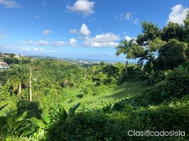 Finca con casa 5.5 cds barrio Cacao