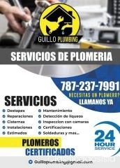 Servicio de Plomeria Area Este