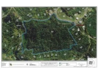 OPCIONADA!! Bo. Jagueyes Abajo