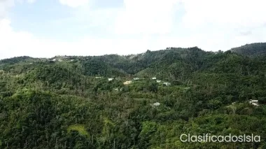 89 cuerdas Bo Jagueyes Abajo