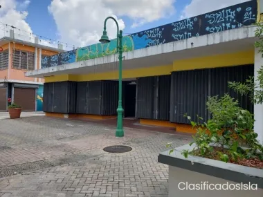 Gautier Benitez Street, Caguas