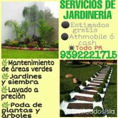 Hago tu patio y mejoro ofertas.