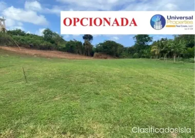 Isabela Bo Mora - OPCIONADA