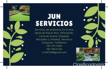 Junior Servicios