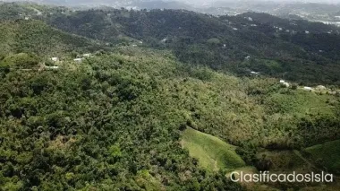 100 cuerdas Bo Jagueyes Aguas Buena