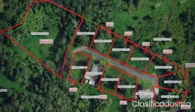 PASEO DEL MONTE.....CIDRA!!!