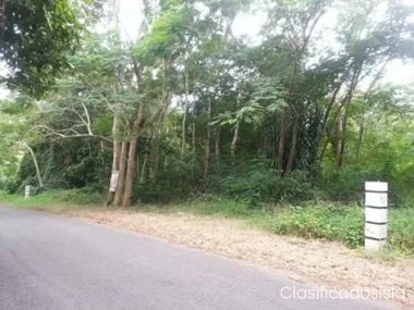 Terreno