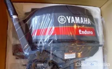 Yamaha 9.9HP Engine