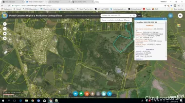 20 CUERDA EN CABO ROJA (SABANA ALTA) BARRIO BAJURAS