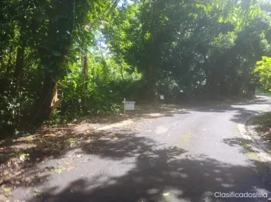 Bo. Zarsal, cerca de Playa Luquillo y Yunque