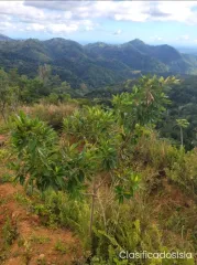Finca 12.6 cuerdas de terreno