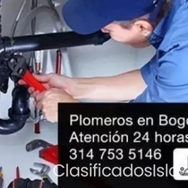 PLOMEROS EN BOGOTA NORTE 3147535146