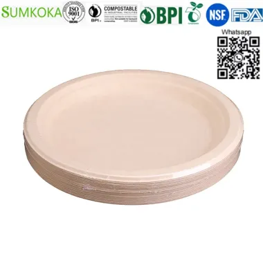 Plato de 10 pulgadas plato de cena plato desechable plato