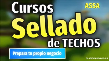 Prepare su negocio en sellado de techos con Assa 
