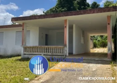 Arecibo Bo Dominguito