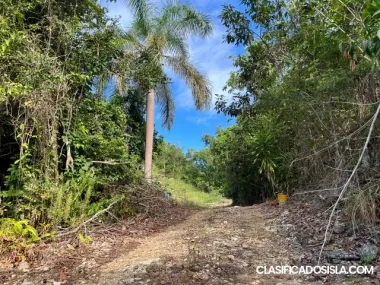 Bo Callejones de Lares 30 cuerdas