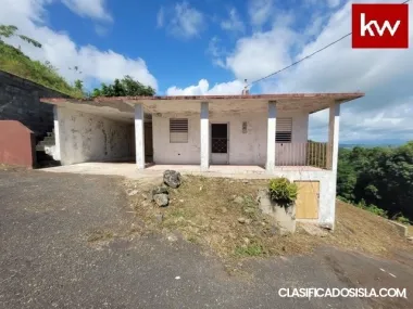 Bo. Camino Nuevo, Casa en Yabucoa