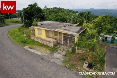 Bo. Espino, Casa en Lares