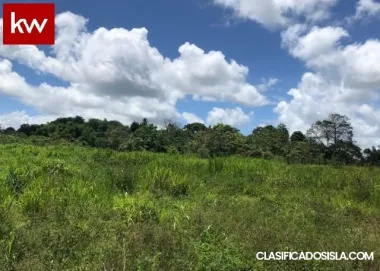 Bo. Jaguas, Finca en Gurabo