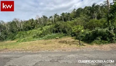 Bo. Rio Lajas, Terreno en Toa Alta