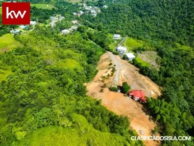 Bo. Sumidero, Finca en Aguas Buenas