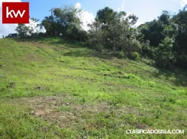 Bo Tomas De Castro, Solar en Caguas