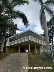 Carite Wd787-261-1155