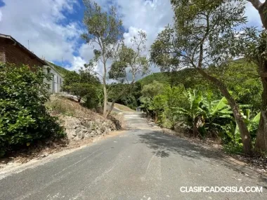 FINCA CON CASA 9 CDAS VISTA HERMOSA