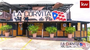 Negocio en Bo. Cerro Gordo