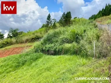 Terreno en Bo. Palos Blancos