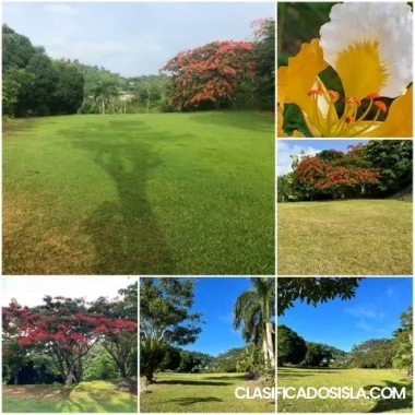 Un terreno, un lugar...