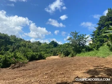Venta de finca en Bo Buena Vista