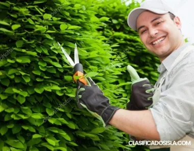 Estimados gratis área este