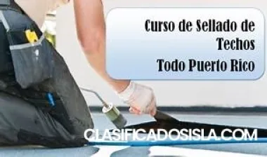 Cursos para sellado de techos de todo tipo con Assa