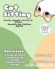 Cat Sitter (Cuidado de gatos)