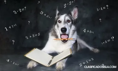 Tutorías de Matemáticas 