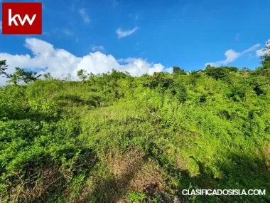 Bo. Pulguillas, Terreno en Coamo