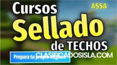 Comience su propio negocios de sellado en techos con Assa