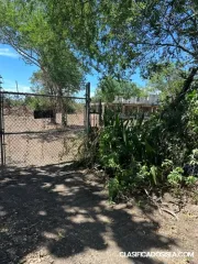 Bo. Capitanejo, Juana Diaz 