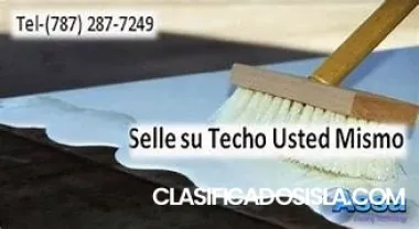 Programa sellelo usted mismo de Assa para techos