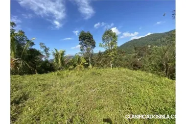 Barrio San Salvador Sector Hato de