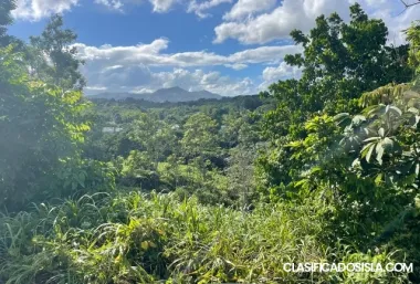 Finca en Hato Nuevo