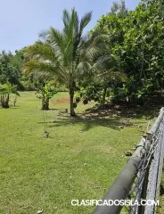 Se renta casa Bo.Dominguito,Arecibo