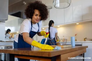 Ama de llaves profesional