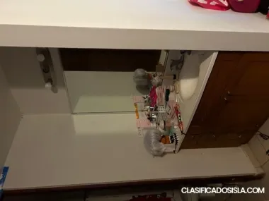 Apt garden condo monte centro