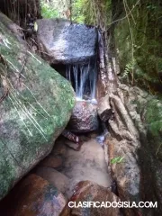 Finca con 18 cuerdas