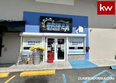 Negocio en Urb. Brisas Del Mar