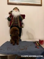 Caniche rojo taza de té macho, libre para aparearse