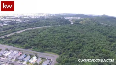 Bo. Palmas, Finca en Guayama